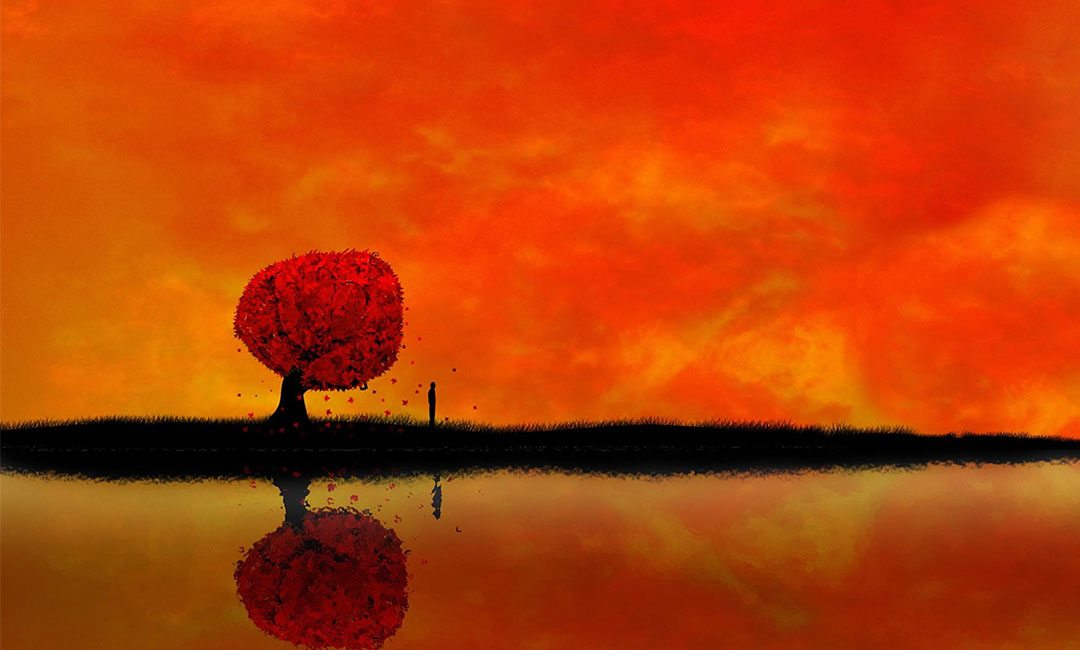 六盘水笙影微信朋友圈转发案例