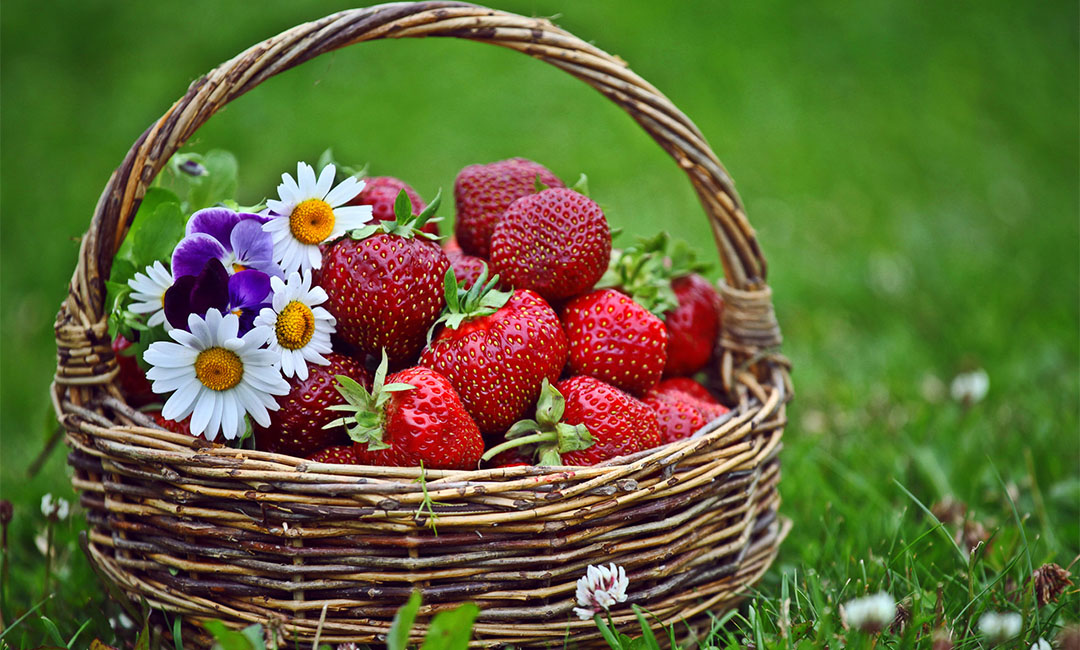 六盘水点呀点水果电商APP开发案例